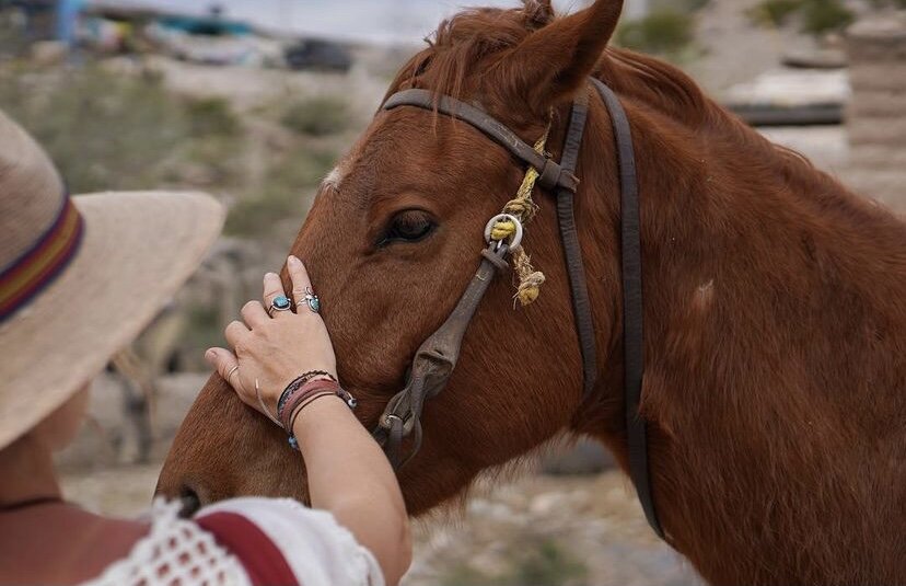 Boquillas -14k gold filled hoops - Image 5
