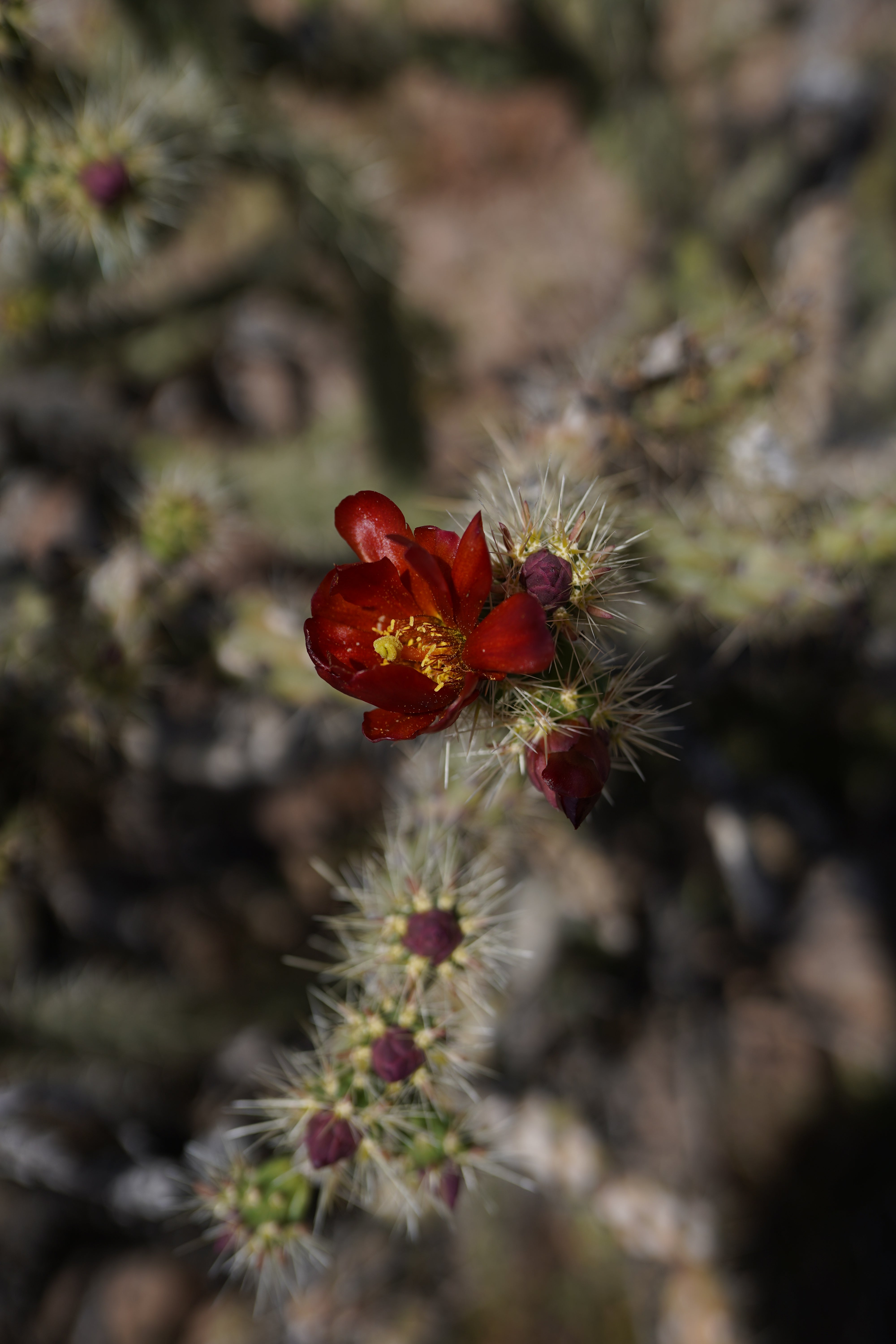 Wildflower Necklace - Image 8
